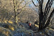 80 Si scende in bosco di faggi e carpini neri